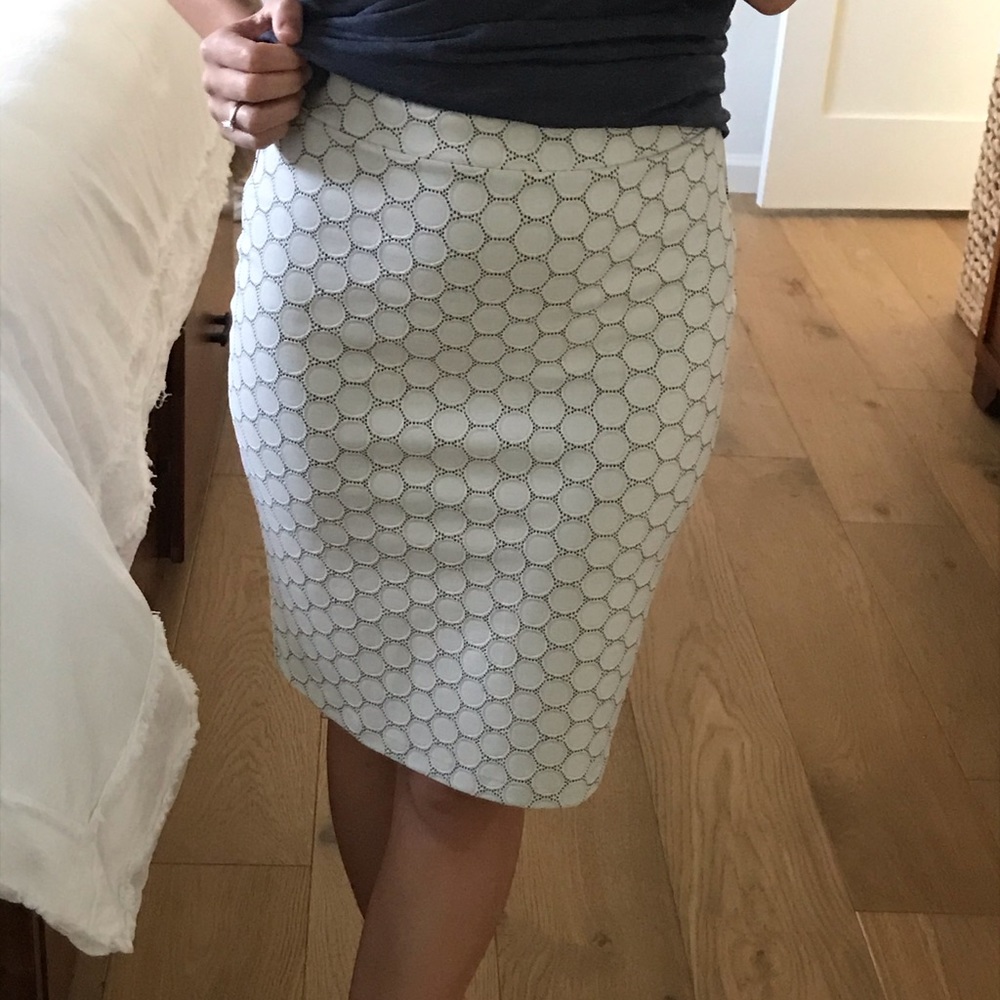NWOT Leota pencil skirt from Stitch Fix